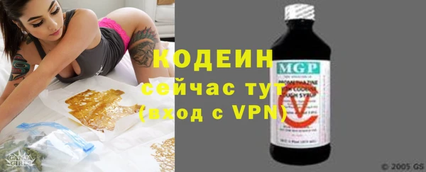 крисы Верхний Тагил