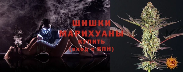дживик Верея