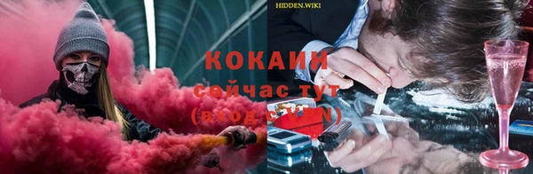 крисы Верхний Тагил