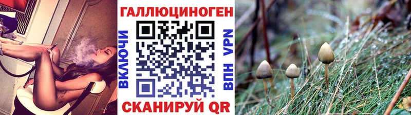 сайты даркнета состав Мариинск Псилоцибиновые грибы Cubensis